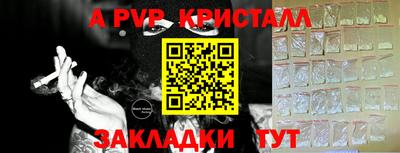гашик Краснознаменск