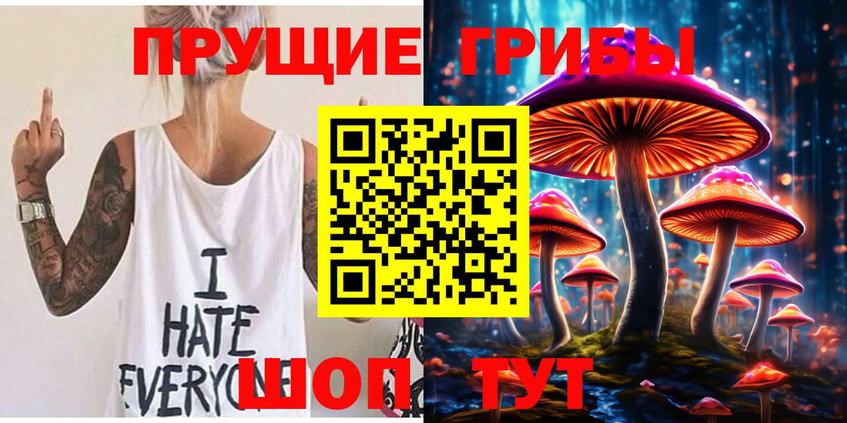 Чернушка  Псилоцибиновые грибы Psilocybe  Вход с VPN 